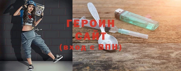 индика Богородск