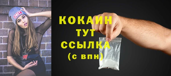 спайс Богданович
