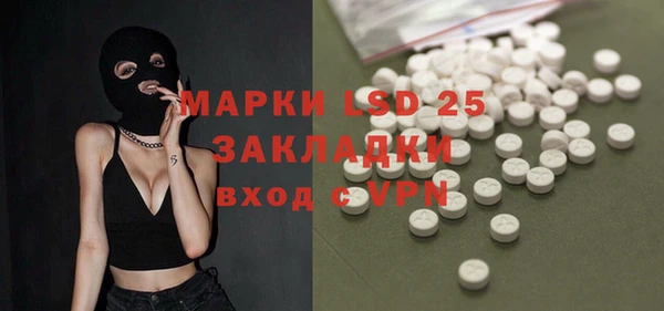крисы Болотное