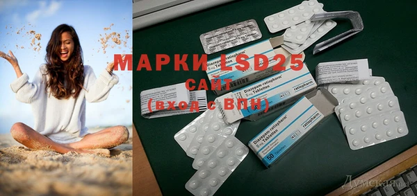 spice Богородицк