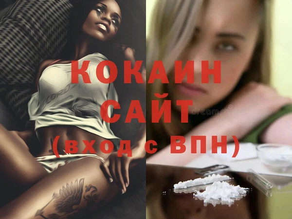 спайс Богданович