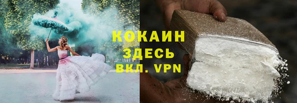 спайс Богданович