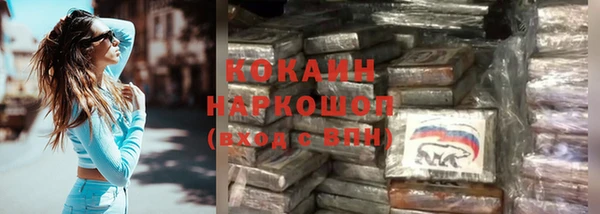 spice Богородицк